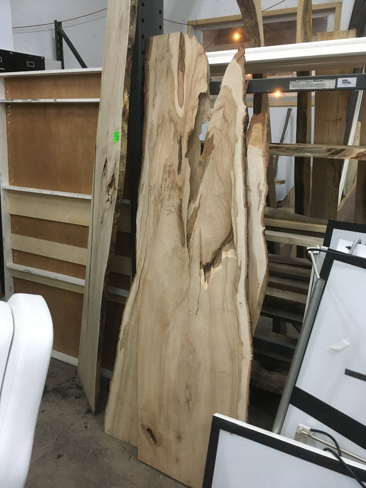 Live Edge Wood Slabs